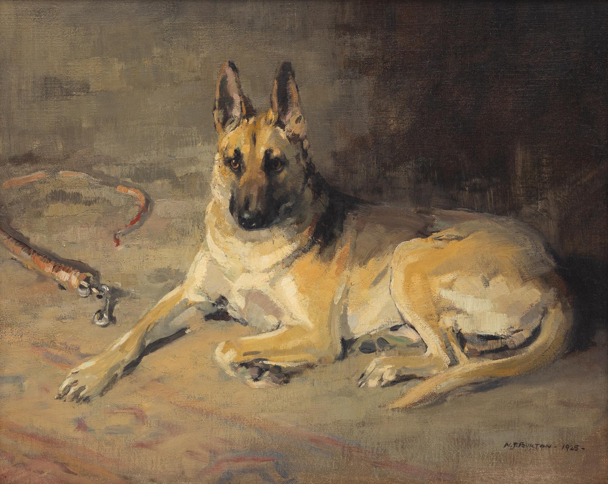 An Alsatian (Portrait of a German Shepherd), 1925