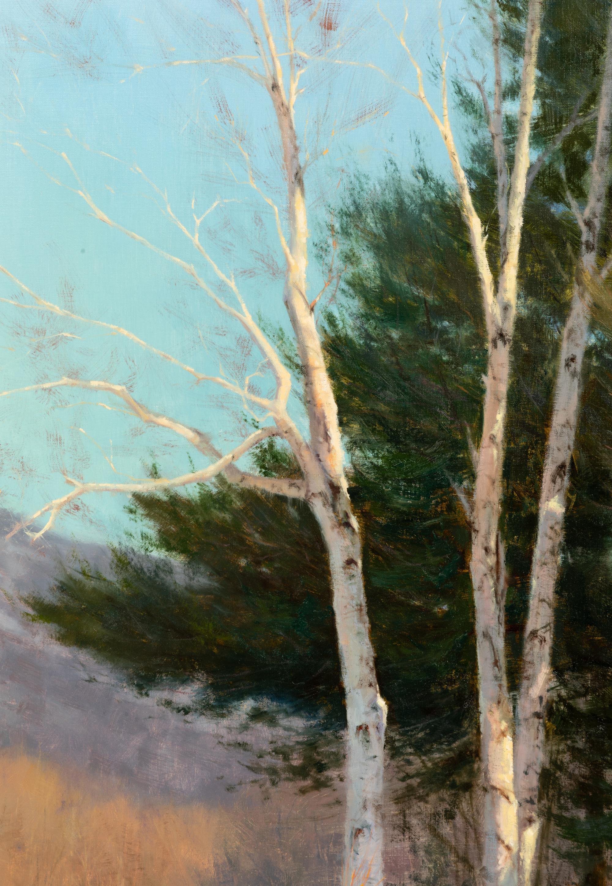 Winter Birches , 2000