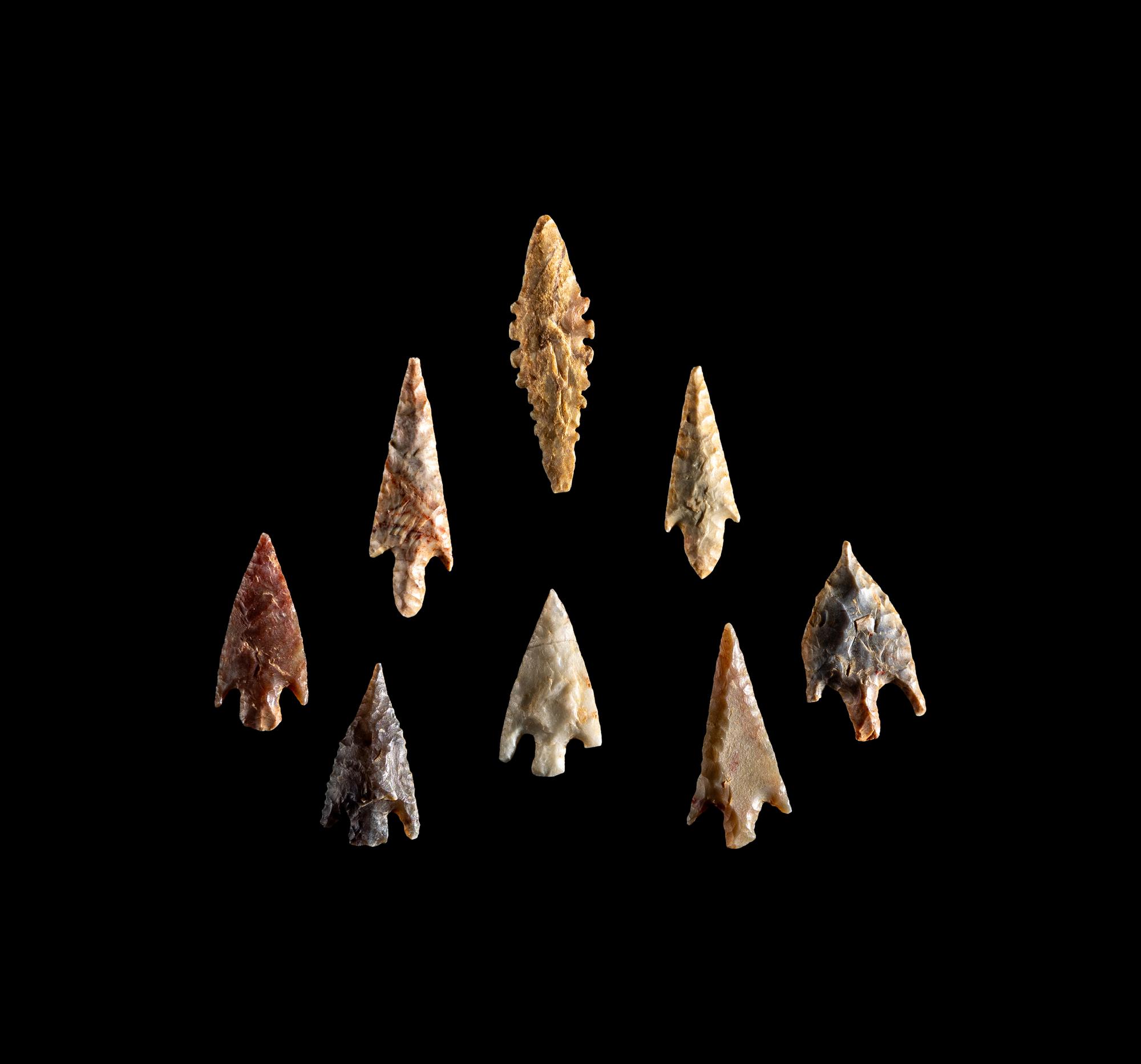 101 Neolithic Flint Points