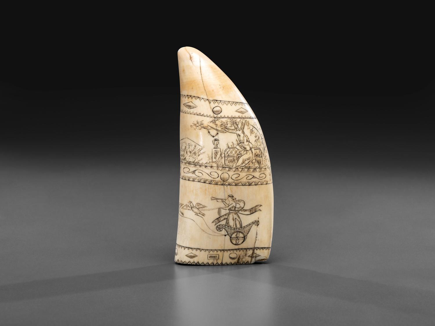 A Scrimshaw Sperm Whale's Tooth