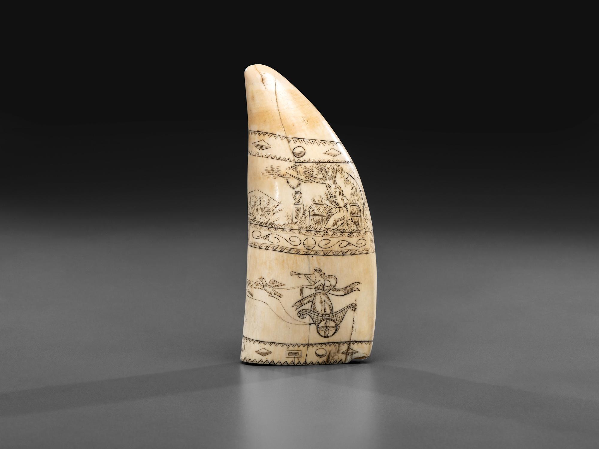 A Scrimshaw Sperm Whale's Tooth