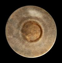 A Western Asiatic Stone Ritual Object
