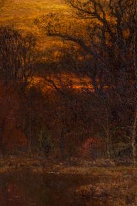 Fall Sunset