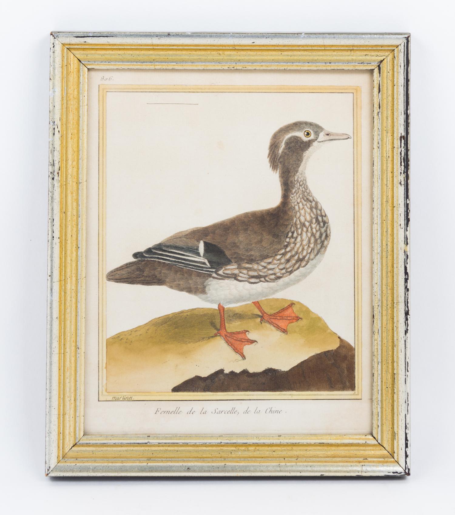 Two Ornithological Hand Colored Etchings Height 9 1/2 x width 7 1/2 inches.