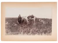 [NATIVE AMERICANS]. ANDERSON, John A., photographer (1869-1948). Two photographs of Sioux Indians getting their beef rations at the Rosebud Indian Reservation, South Dakota.