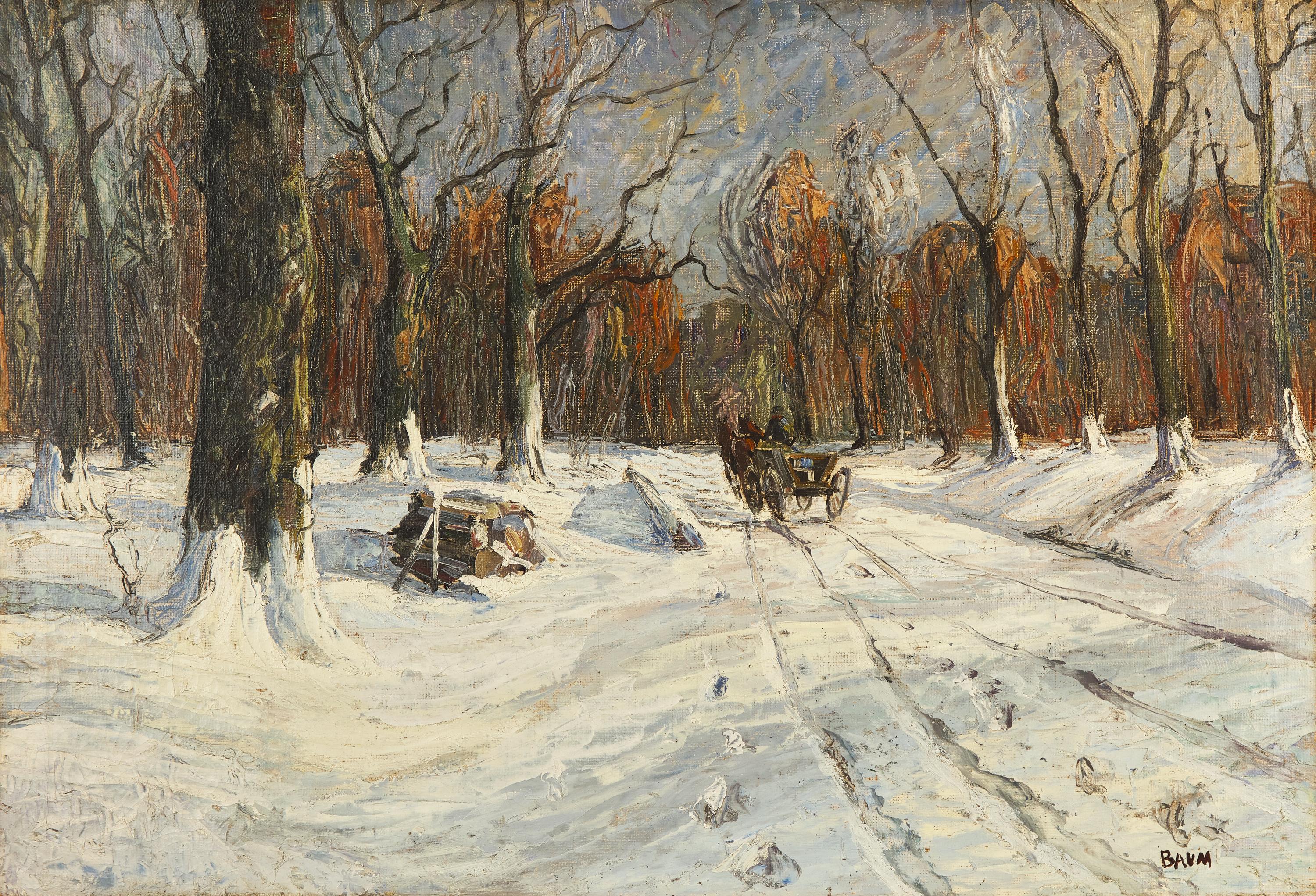 Path Through the Snow