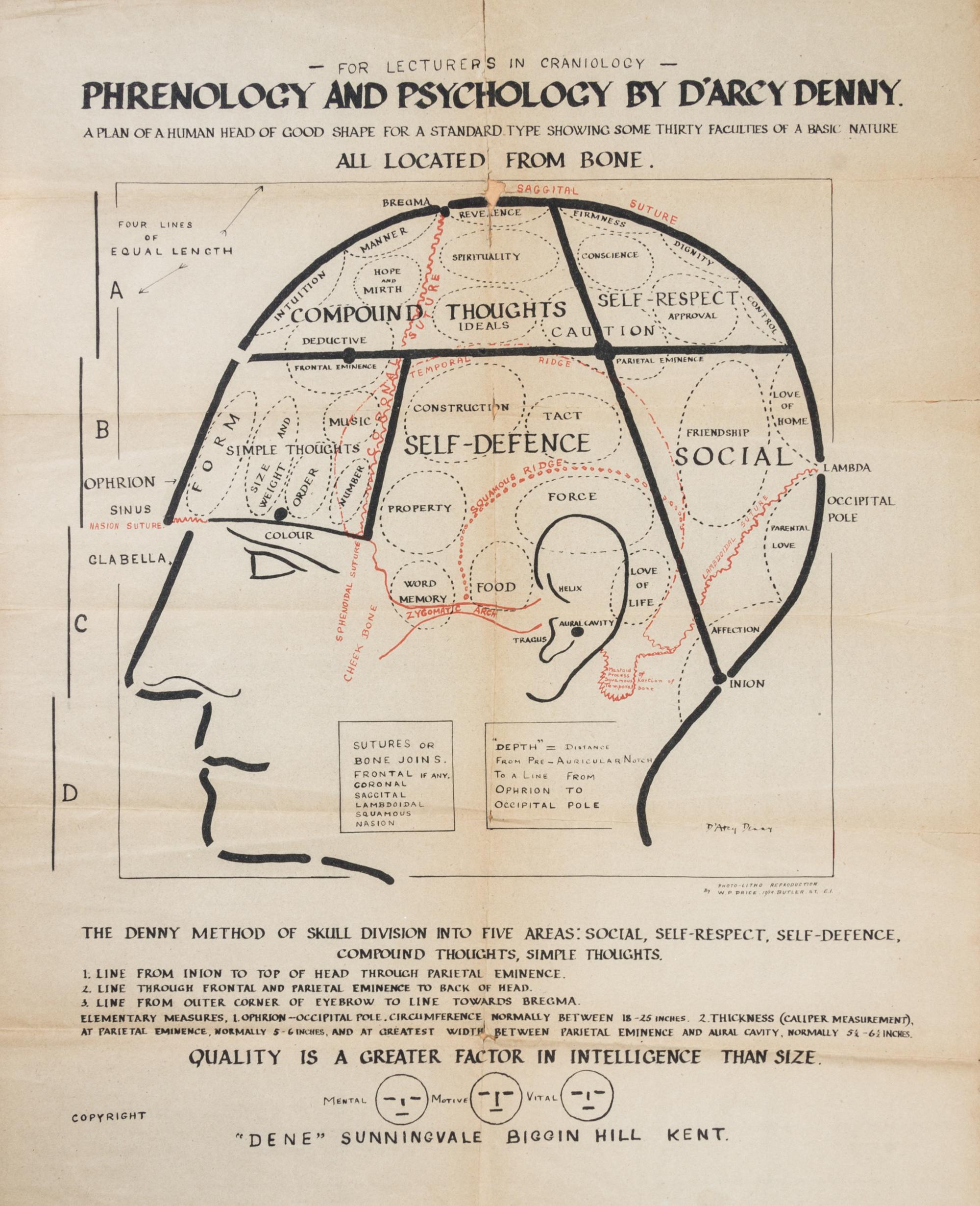 (ANATOMY) DENNY, D'ARCY. Broadside [Phrenology and Psychology]. Kent, c. 1930