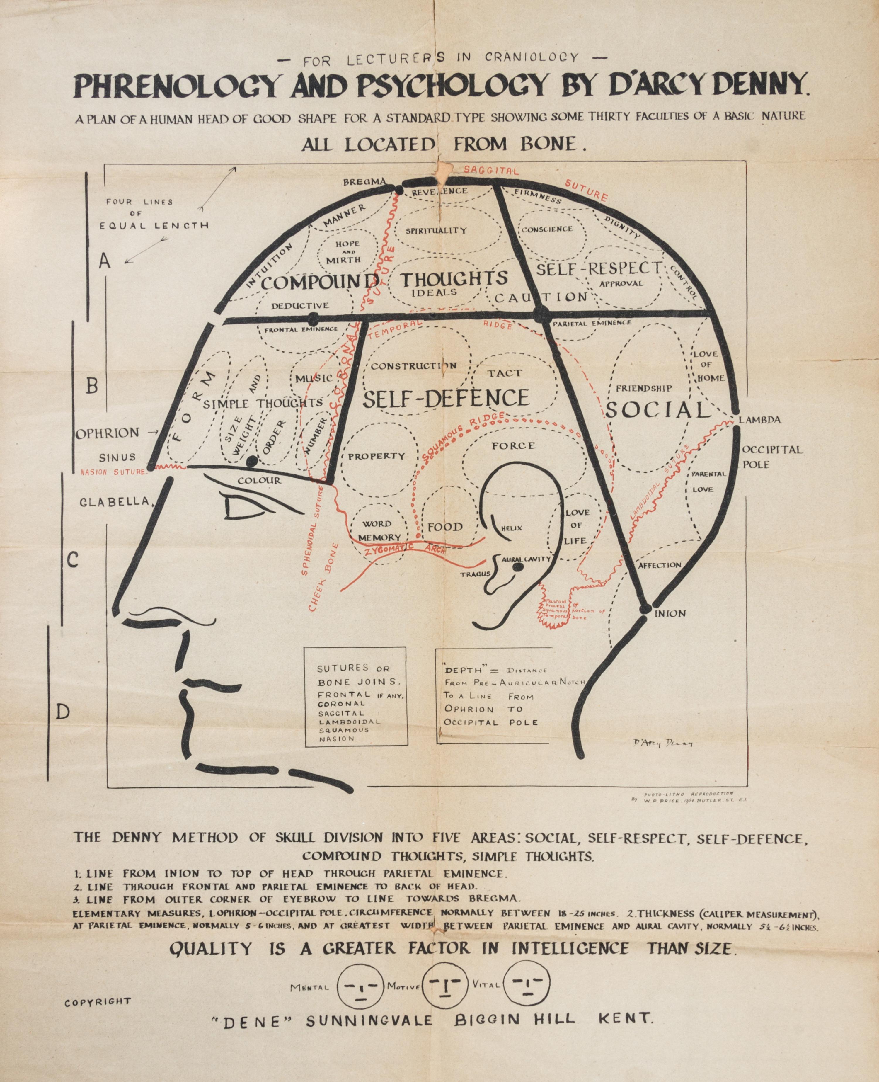 (ANATOMY) DENNY, D'ARCY. Broadside [Phrenology and Psychology]. Kent, c. 1930
