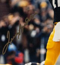 A Group of Hall of Fame Quarterback Signed Displays Featuring Terry Bradshaw, Dan Marino and George Blanda