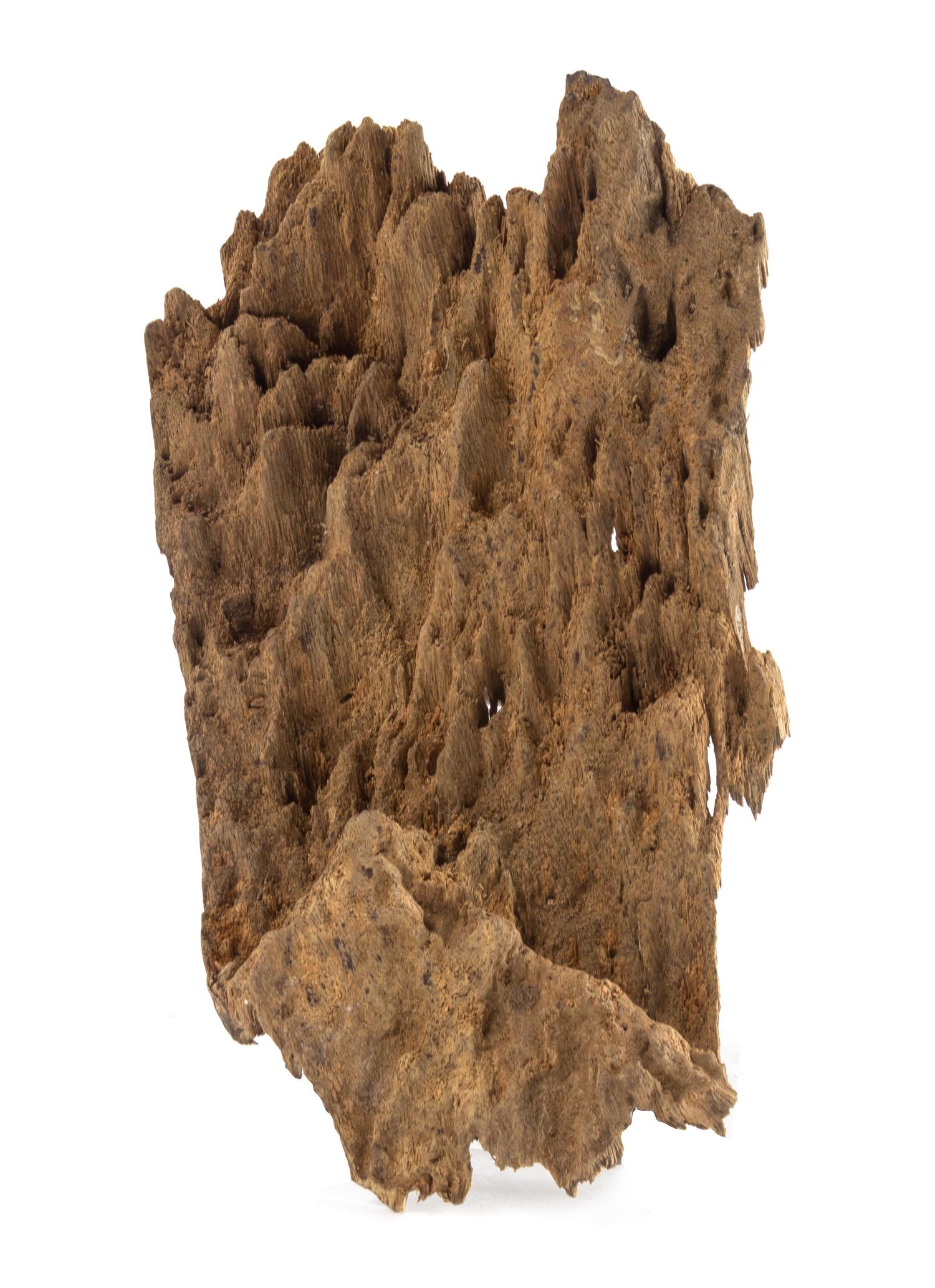 An Aloeswood Fragment Length of 7 1/2 inches.