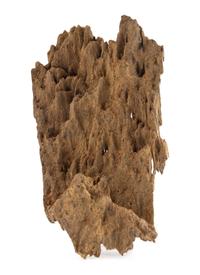 An Aloeswood Fragment Length of 7 1/2 inches.