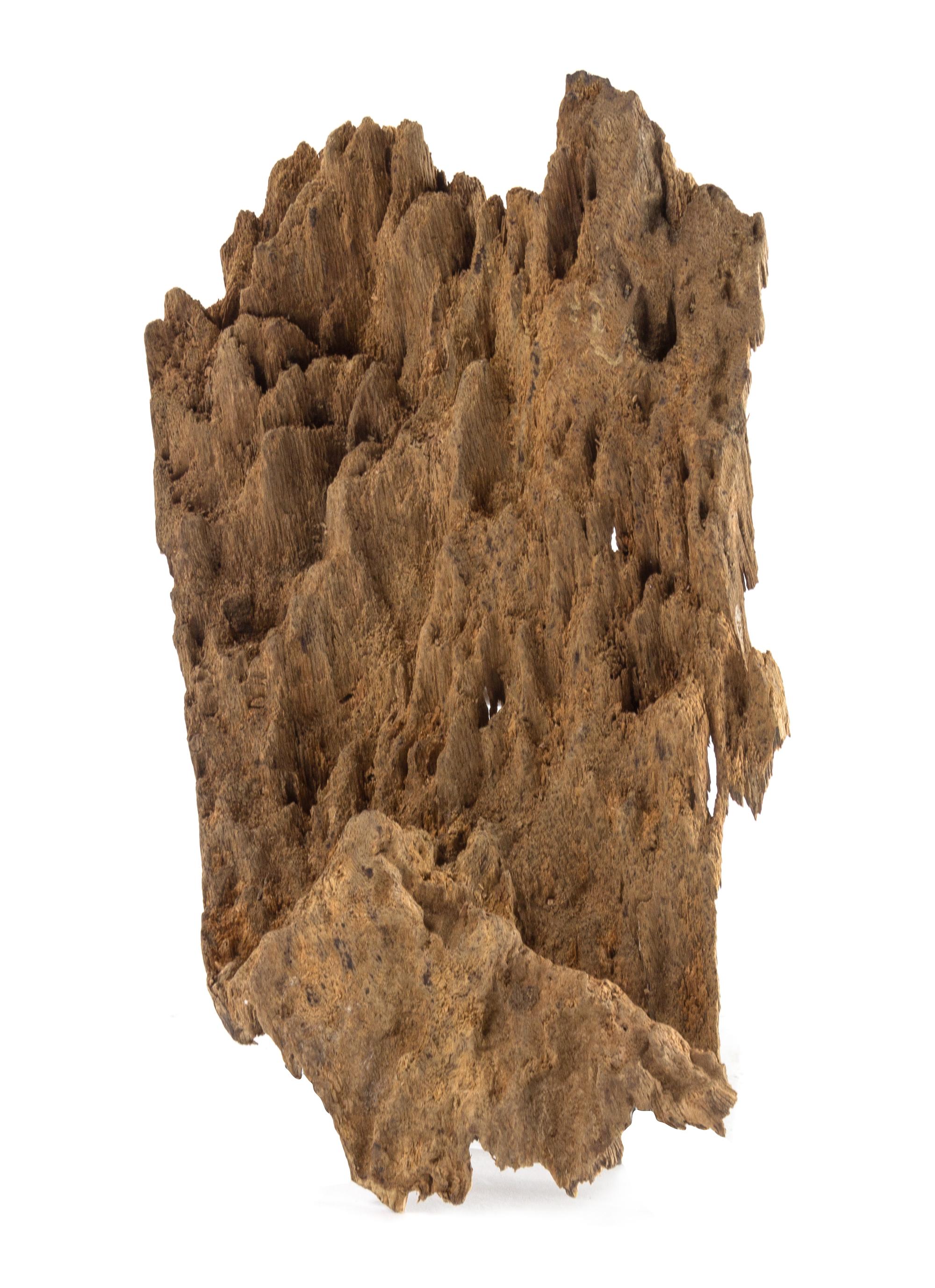 An Aloeswood Fragment Length of 7 1/2 inches.