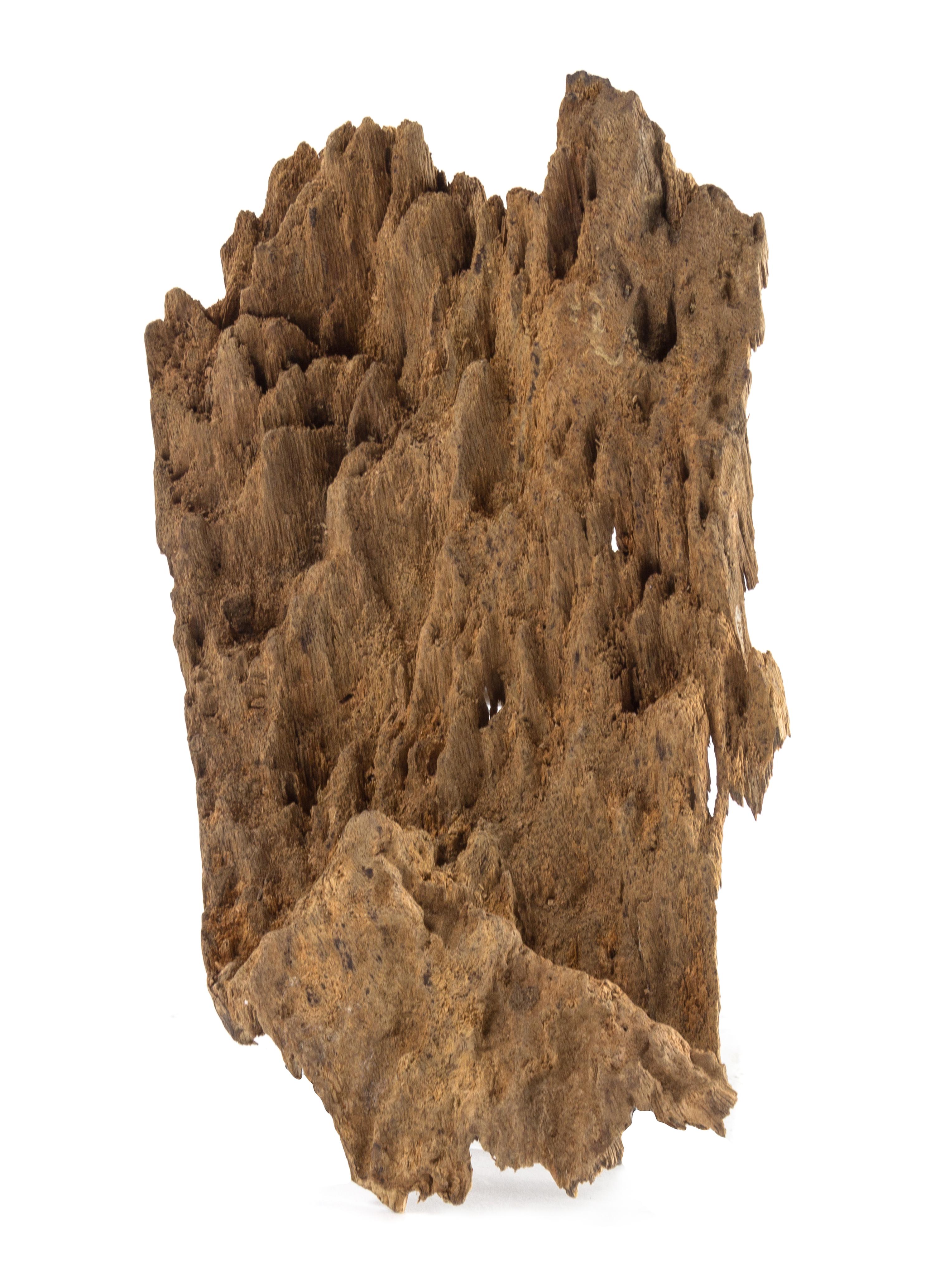 An Aloeswood Fragment Length of 7 1/2 inches.