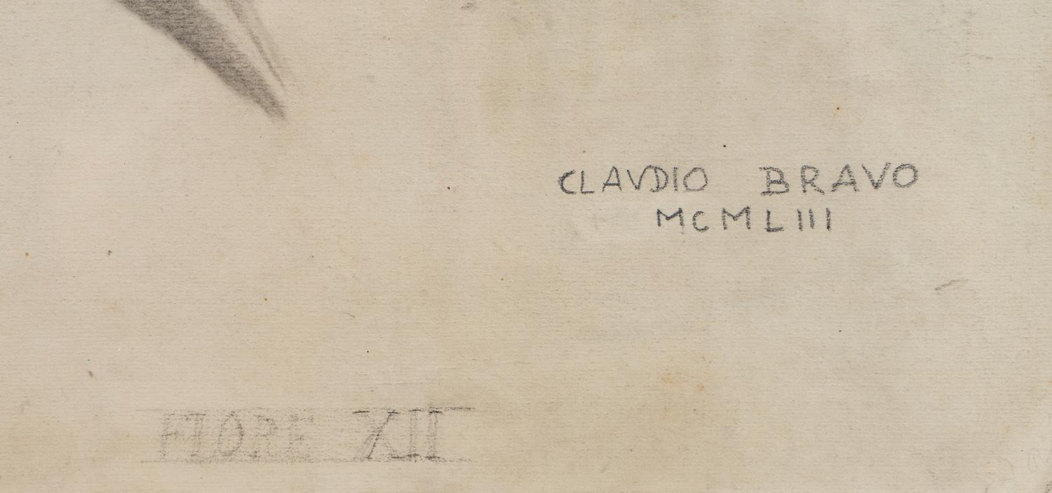 Flore XII, 1953
