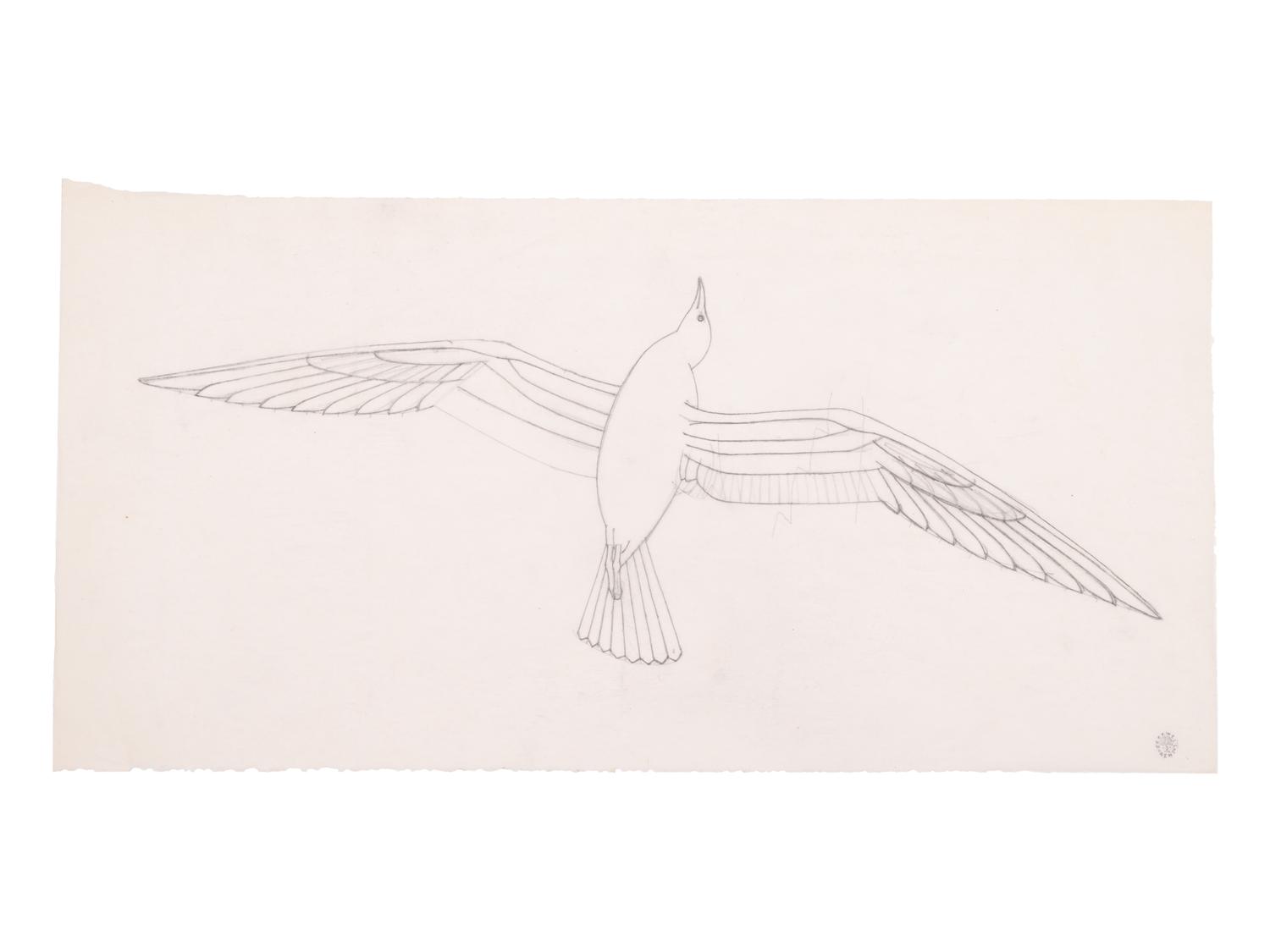 Study for Seagull , c. 1939