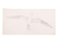 Study for Seagull , c. 1939