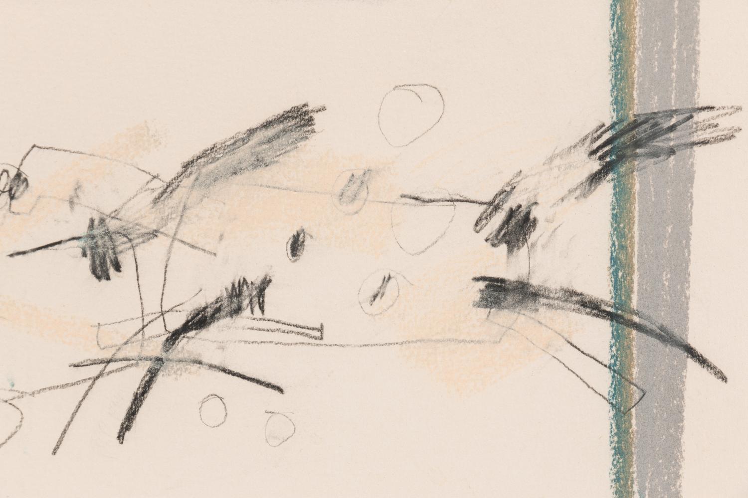 Untitled, from Porcupine Ridge Series