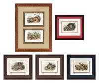 [Prints] Audubon, John James Group of 6 Lithographs from the Quadrupeds of America