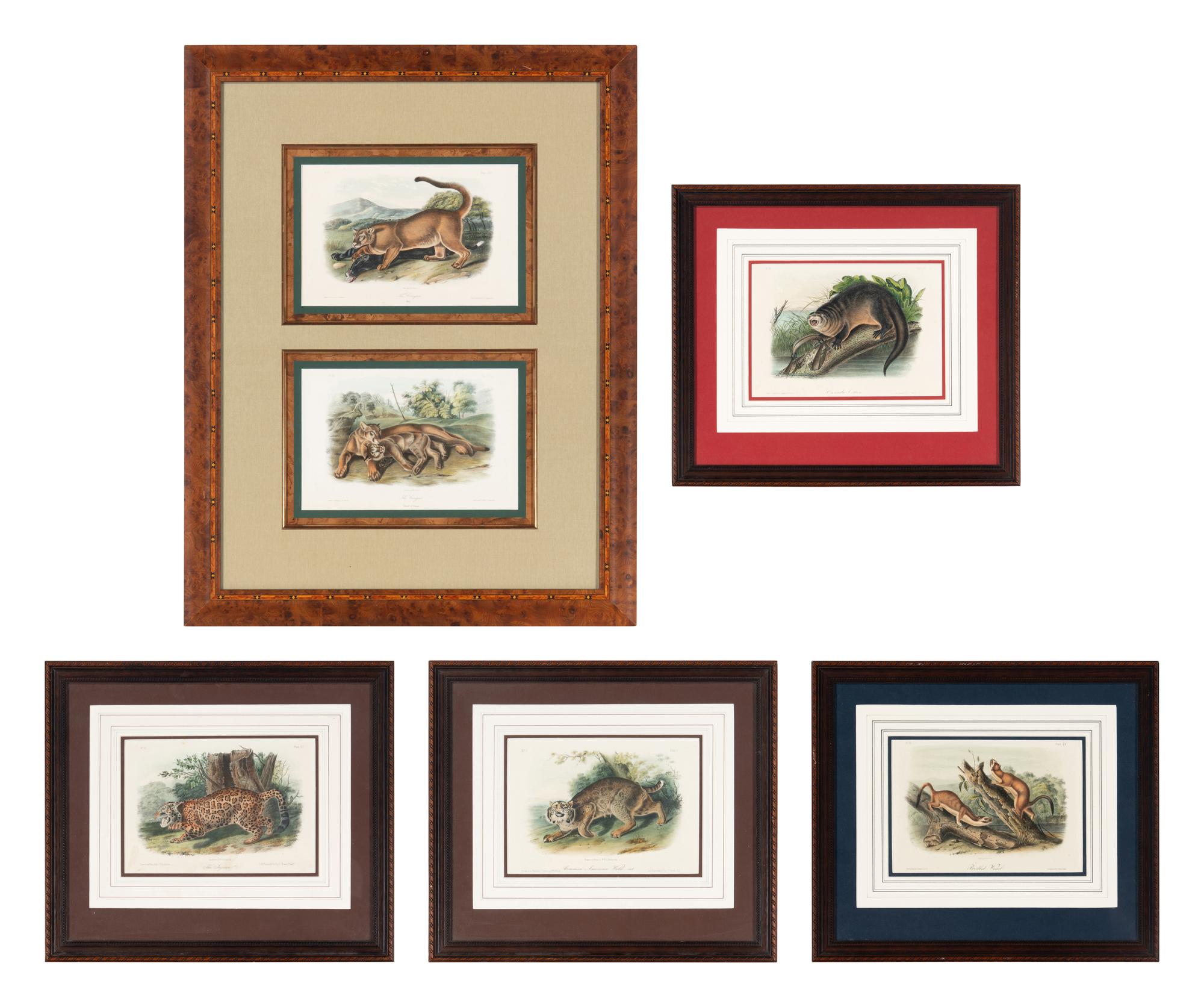 [Prints] Audubon, John James Group of 6 Lithographs from the Quadrupeds of America