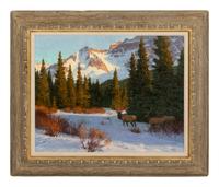 High Country Light , 1999