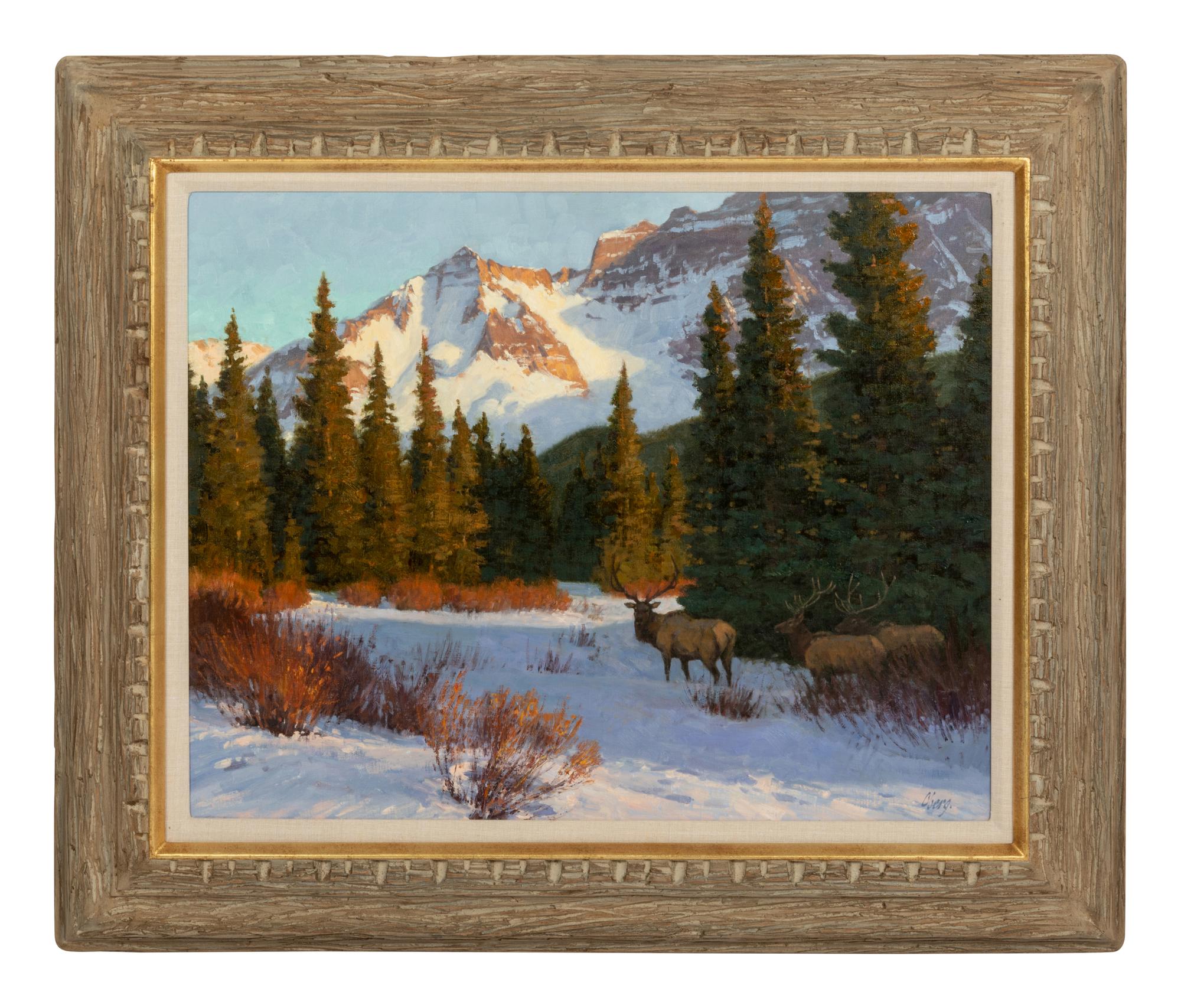 High Country Light , 1999