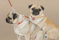 A Watercolor depicting Two Pugs 5 1/4 x 7 1/2 inches. — Dana Thompson (American, 20th century)