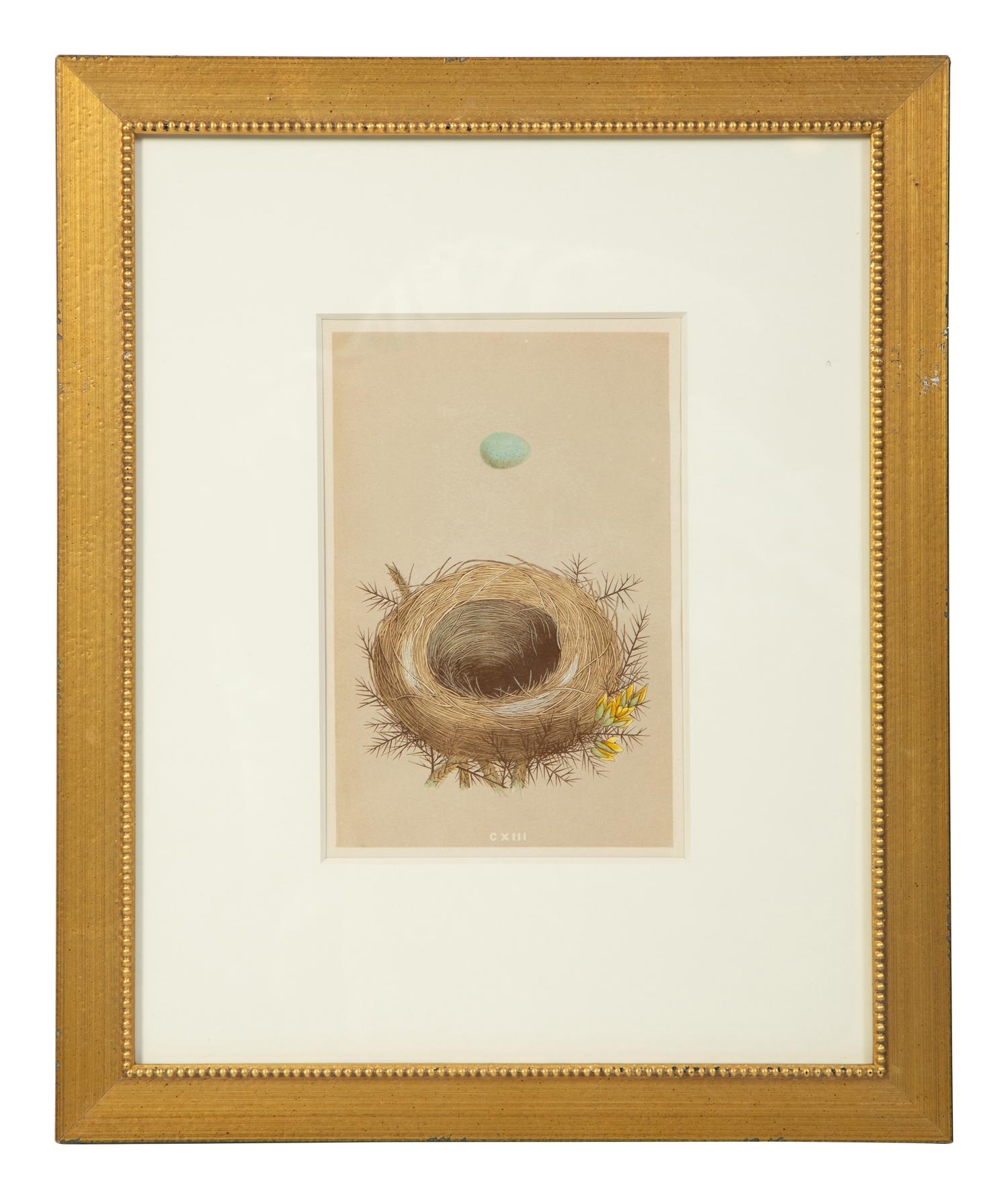 A Set of Six Prints from A Natural History of the Nests and Eggs of British Birds , by Rev. Francis O. Morris, B.A. (Irish, 1810-1893)