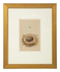 A Set of Six Prints from A Natural History of the Nests and Eggs of British Birds , by Rev. Francis O. Morris, B.A. (Irish, 1810-1893)
