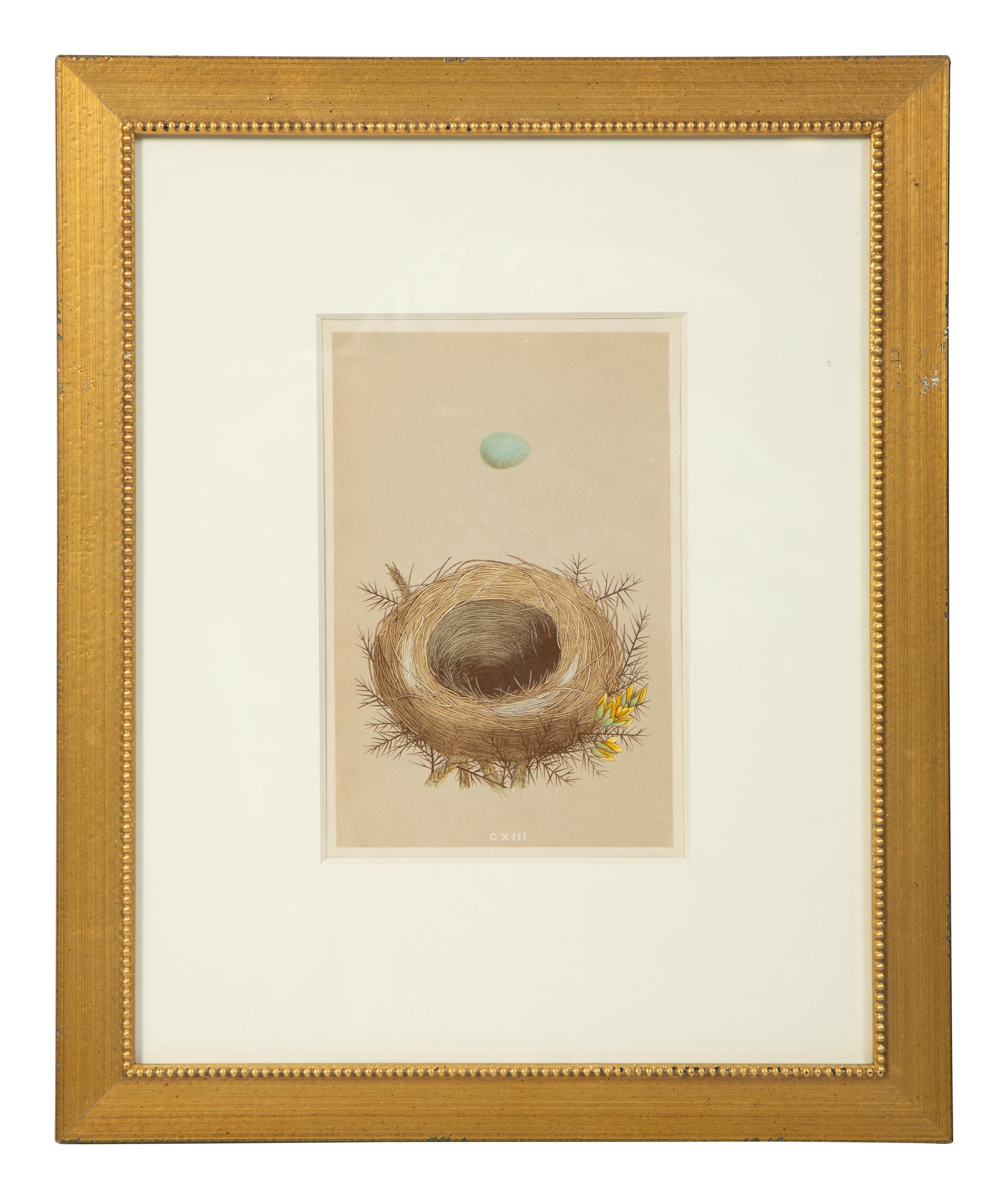 A Set of Six Prints from A Natural History of the Nests and Eggs of British Birds , by Rev. Francis O. Morris, B.A. (Irish, 1810-1893)