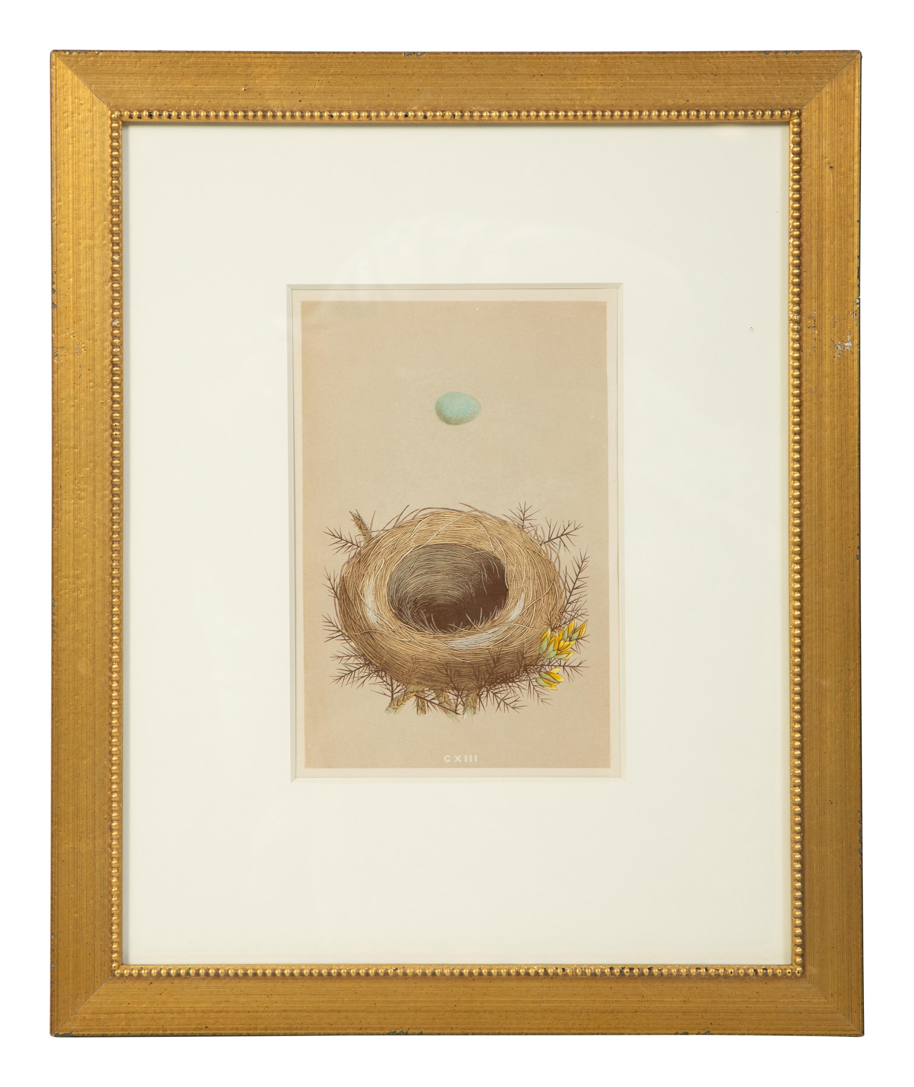 A Set of Six Prints from A Natural History of the Nests and Eggs of British Birds , by Rev. Francis O. Morris, B.A. (Irish, 1810-1893)