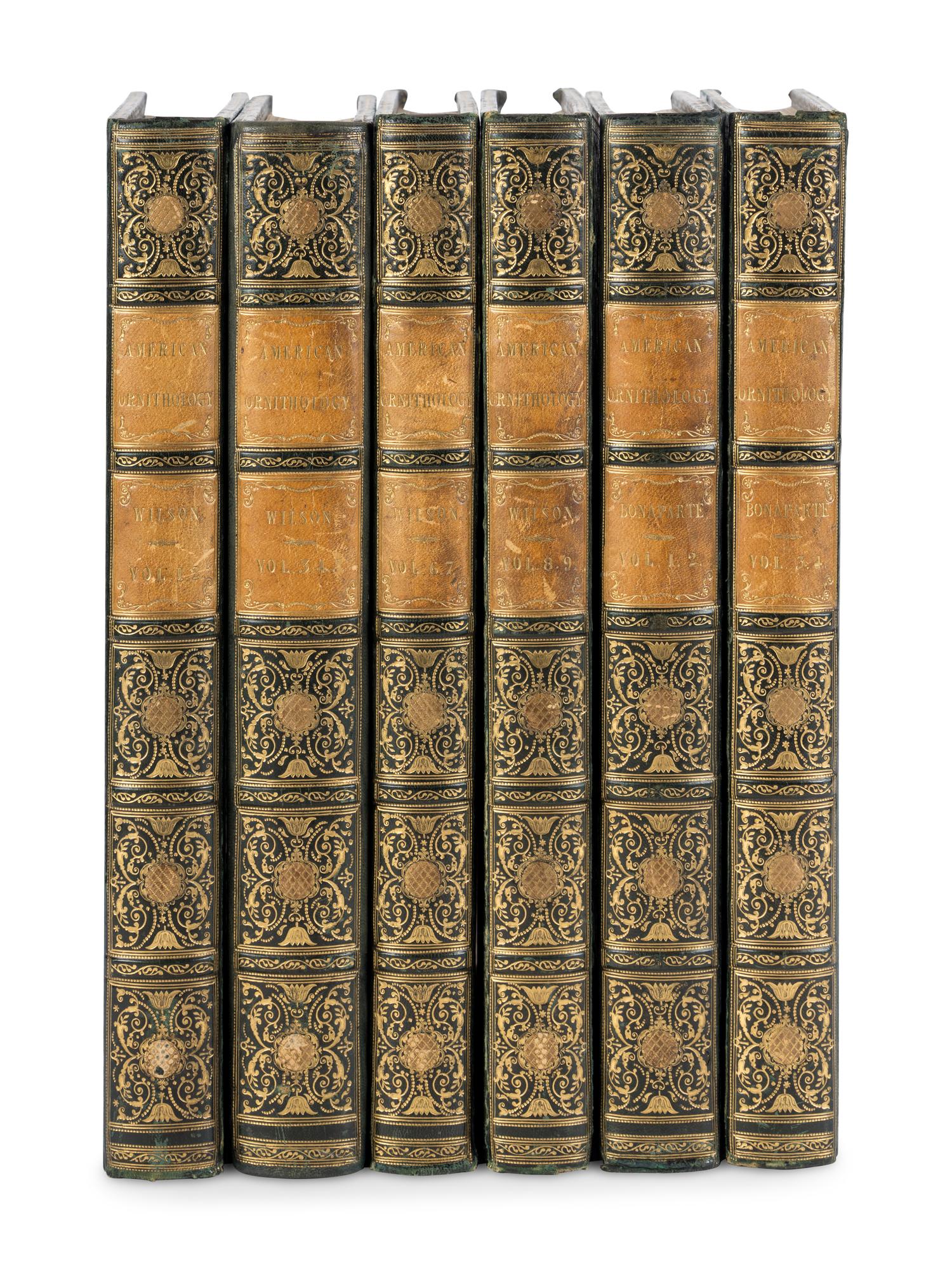 WILSON, Alexander (1766-1813). A merican Ornithology; or, The Natural History of the Birds of the United States . Philadelphia: Bradford and Inskeep, 1808-1814. [ With :] BONAPARTE, Charles Lucian. American Ornithology; Or, the Natural History of Birds Inhabiting the United States. Not Given by Wilson ... Philadelphia: Samuel Augustus Mitchell, Carey, Lea, and Carey, 1825-1833.