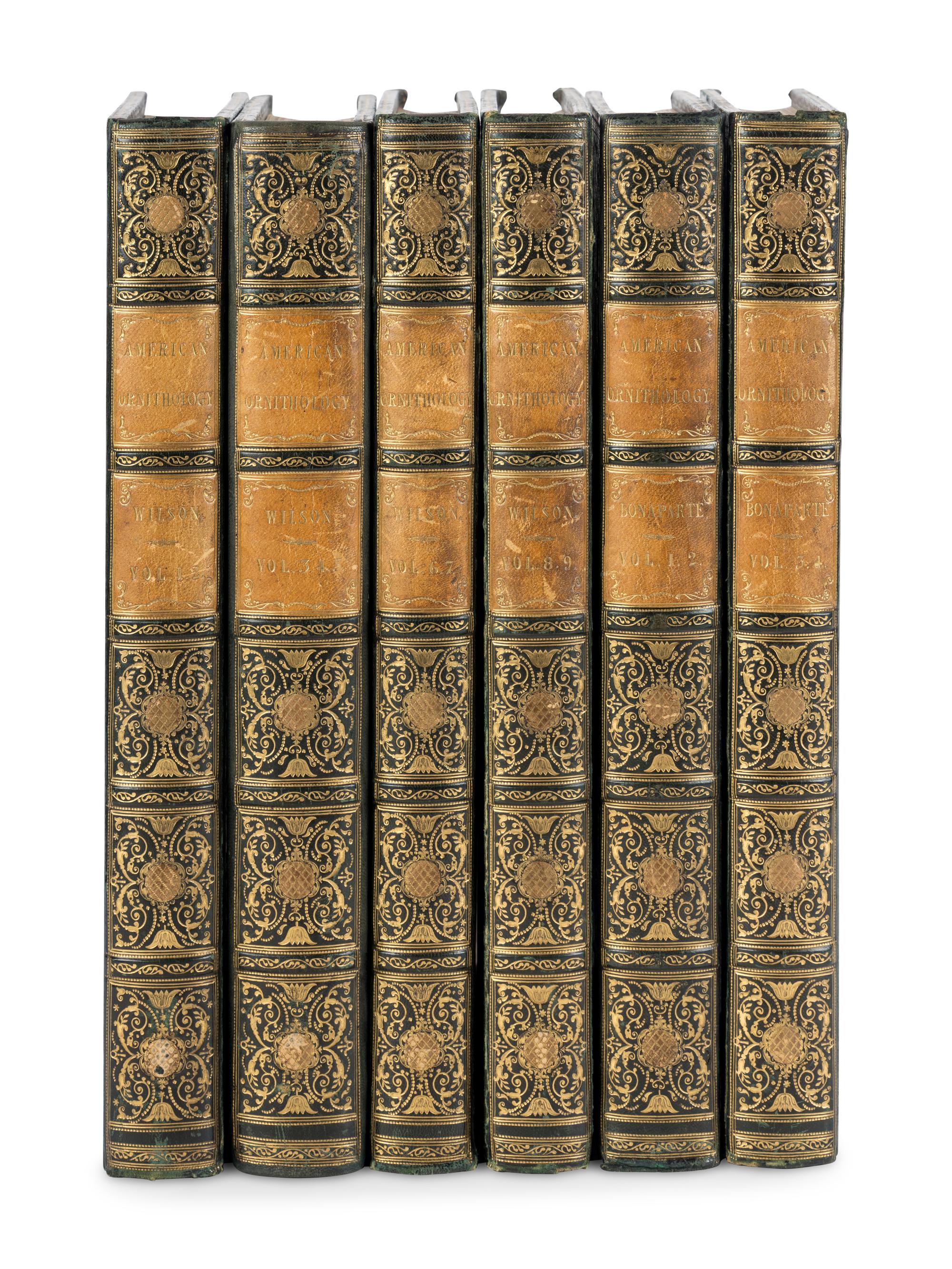 WILSON, Alexander (1766-1813). A merican Ornithology; or, The Natural History of the Birds of the United States . Philadelphia: Bradford and Inskeep, 1808-1814. [ With :] BONAPARTE, Charles Lucian. American Ornithology; Or, the Natural History of Birds Inhabiting the United States. Not Given by Wilson ... Philadelphia: Samuel Augustus Mitchell, Carey, Lea, and Carey, 1825-1833.