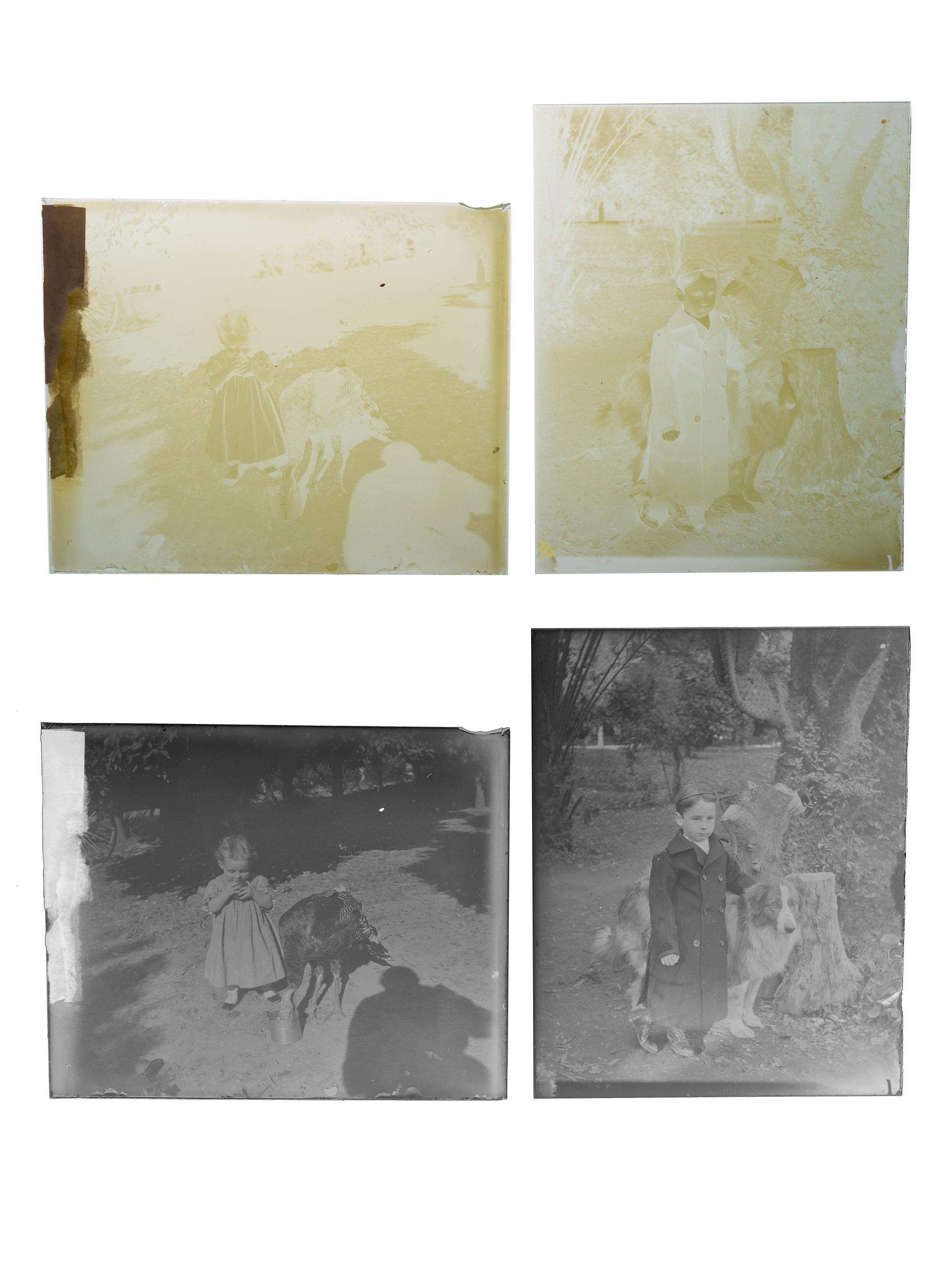 [EARLY PHOTOGRAPHY]. A large group of glass plate negatives and glass slides with Western themes.