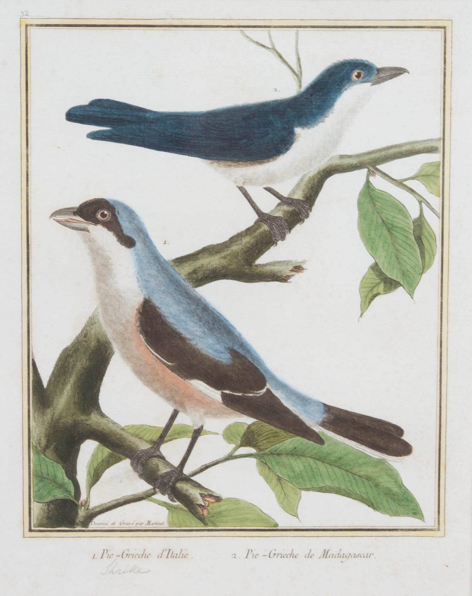 A Group of Six Hand-Colored Ornithological Engravings Height of each plate 9 1/2 x width 7 1/4 inches. — 20TH CENTURY