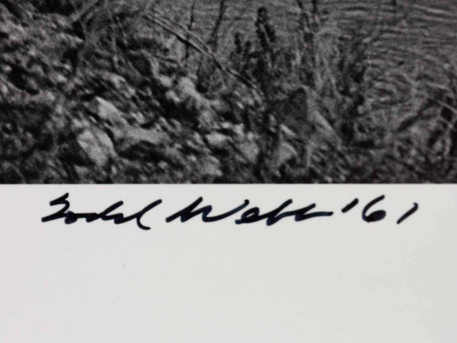 A group of four photographs ( O'Keeffe, Glen Canyon , 1961 (printed 1984); Georgia O'Keeffe Photographing the Chama River , 1961 (printed 1984); Untitled (O'Keeffe walking towards building) , 1960s; Untitled (O'Keeffe walking from building ), 1959 (printed 1984))