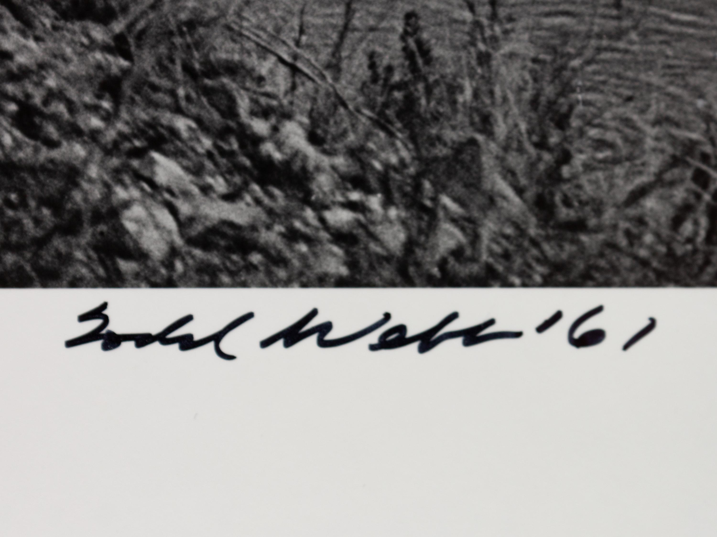 A group of four photographs ( O'Keeffe, Glen Canyon , 1961 (printed 1984); Georgia O'Keeffe Photographing the Chama River , 1961 (printed 1984); Untitled (O'Keeffe walking towards building) , 1960s; Untitled (O'Keeffe walking from building ), 1959 (printed 1984))