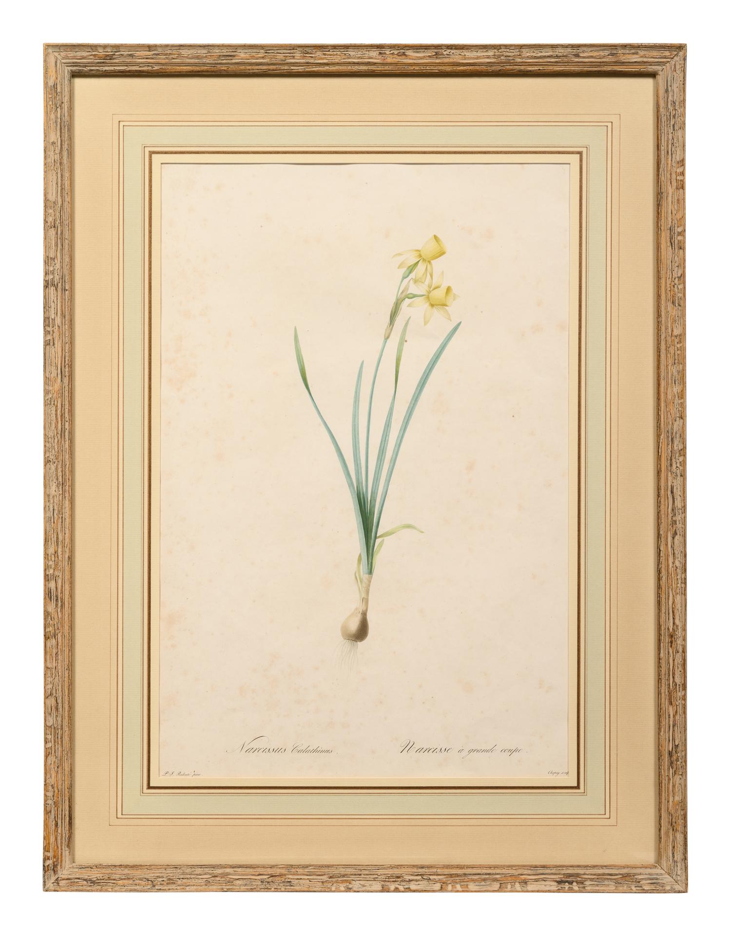 A Set of Six Botanical Artworks