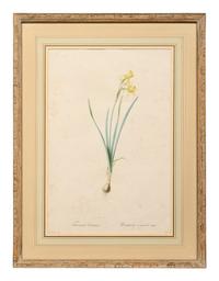 A Set of Six Botanical Artworks