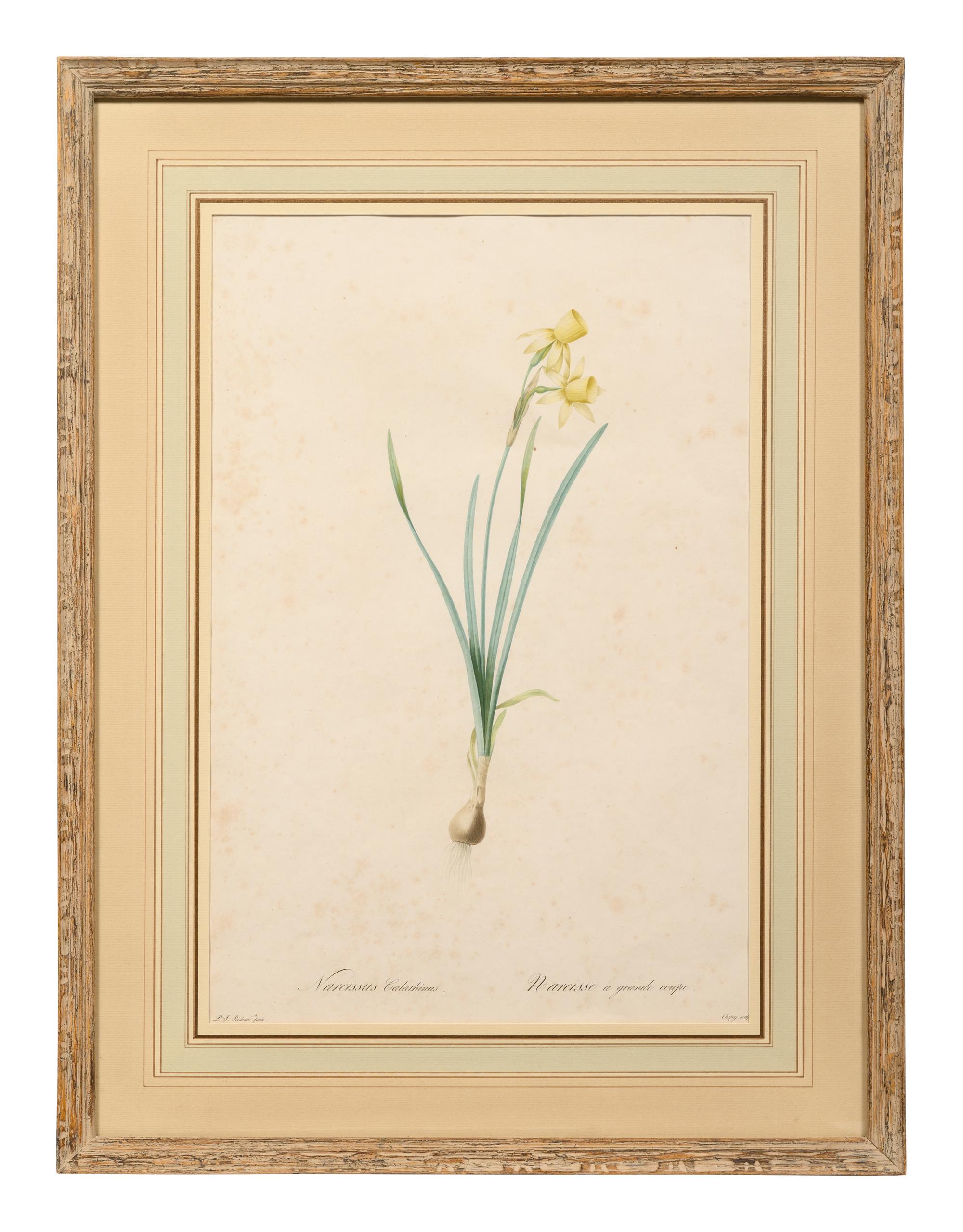 A Set of Six Botanical Artworks