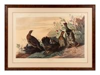 AUDUBON, John James (1785-1851), after Red-breasted Morganser (Plate CCCCI). Mergus Serrator . -- Common or Virginian Deer (Plate CXXXVI). Cervus Virginianus . -- The Jaguar (Plate CI). Felis Onca .--Spotted Grous (Plate CLXXVI). Tetrao Canadensis . -- Raccoon (Plate LXI). Procyon Lotor .