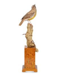Western Meadowlark , 2004