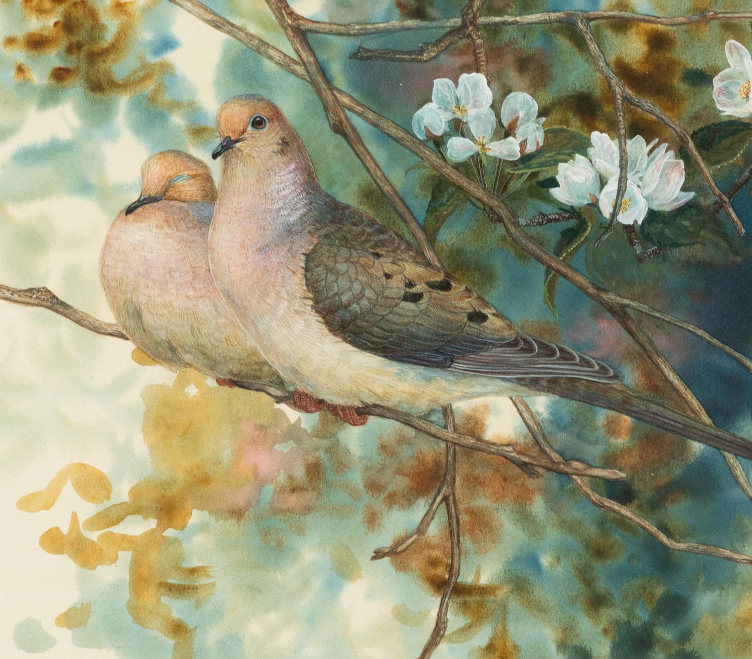 Morning Doves , 1995