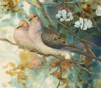 Morning Doves , 1995