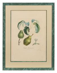 A Set of Six Botanical Prints 19 x 12 1/2 inches. — 19TH CENTURY
