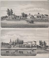 Printed City Views and Farm Scenes of Bloomingdale and Dupage County, Ill. N.p.: N.d. 23 x 21 In. Matted and framed.