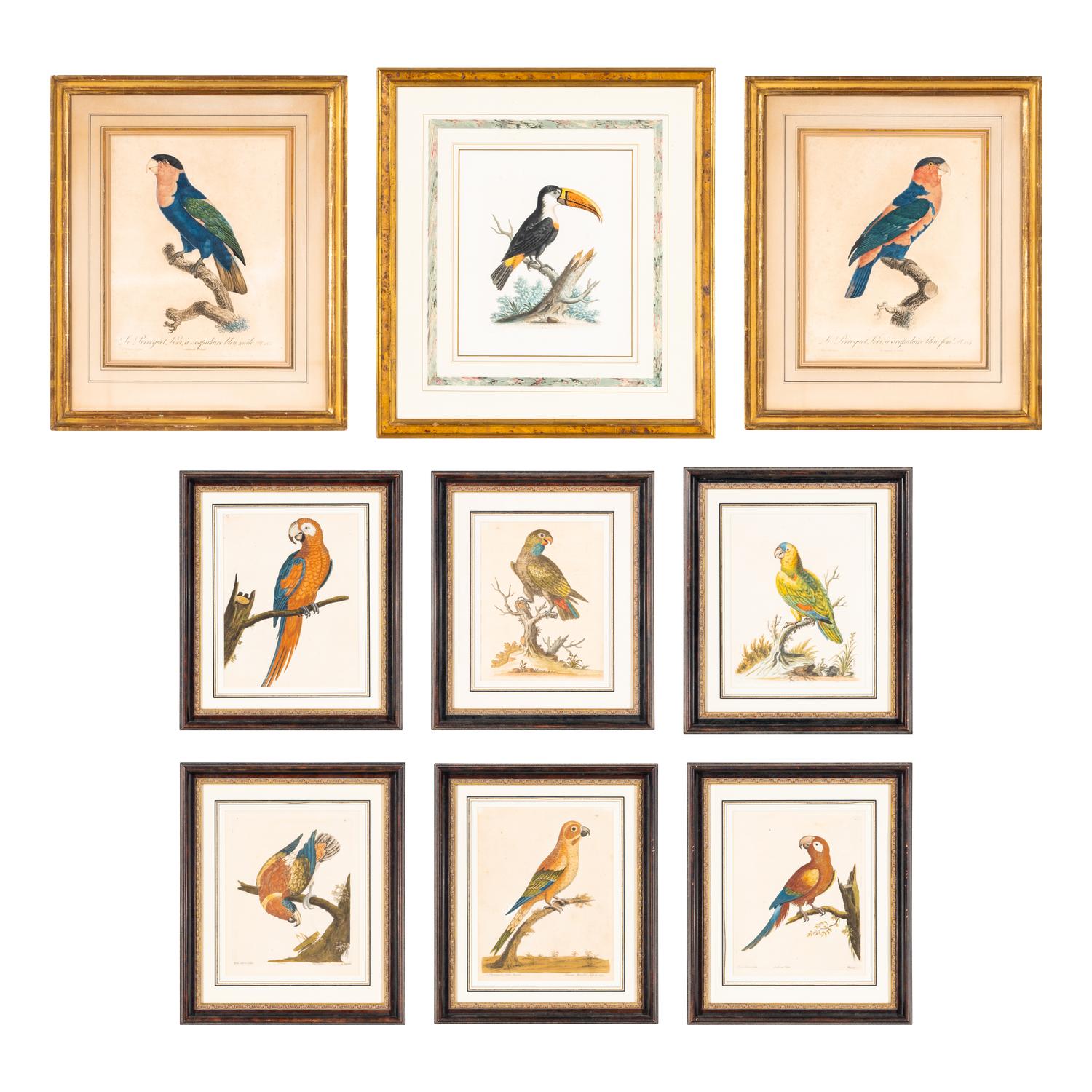 A Group of Nine Hand-Colored Engravings of Birds