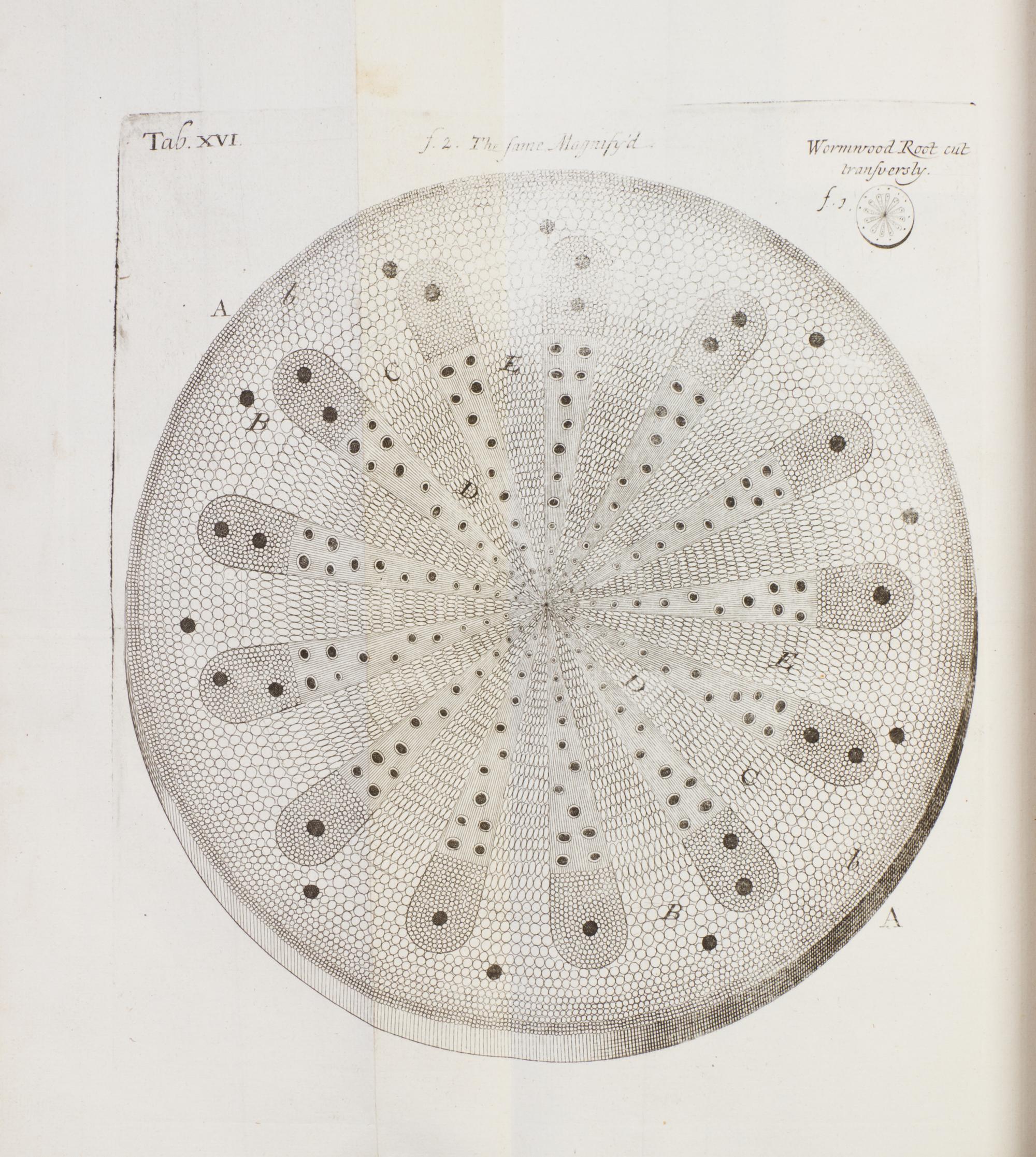 (BOTANY) GREW, NEHEMIAH. The Anatomy of Plants. London, 1682. First edition.