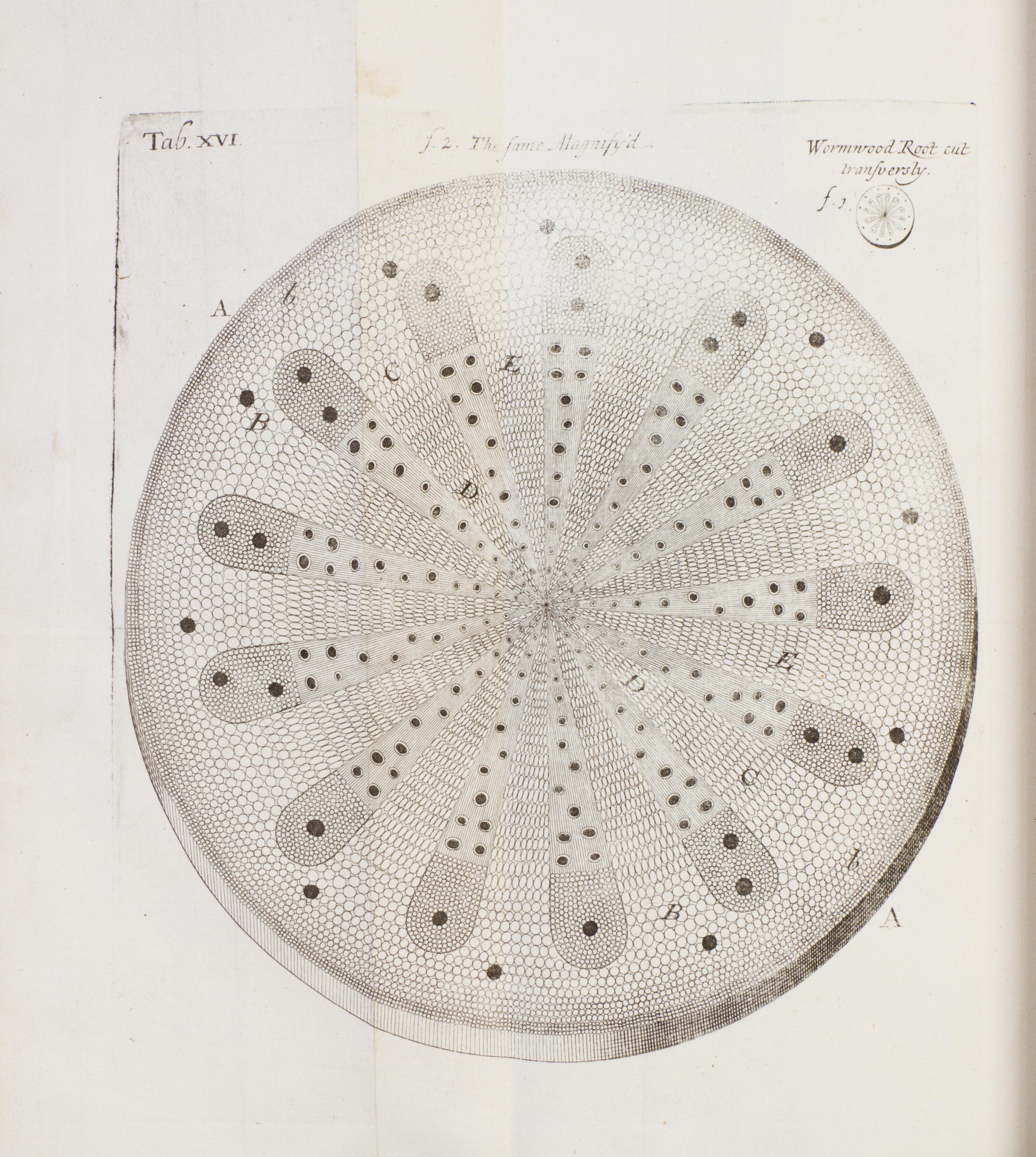 (BOTANY) GREW, NEHEMIAH. The Anatomy of Plants. London, 1682. First edition.