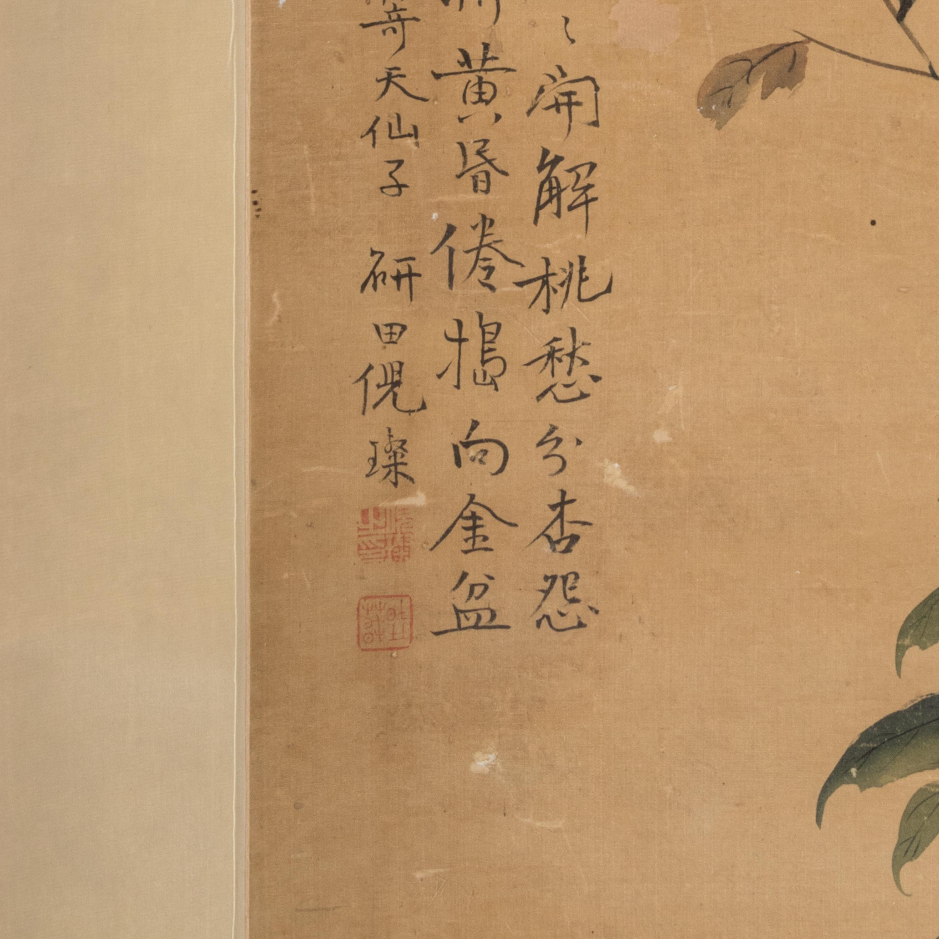 Attributed to Ni Can (1764-1841) 倪璨（款）