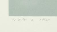 White Embossing on Gray: I-X (complete series)